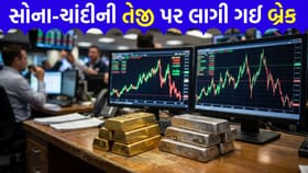 ગોલ્ડ-સિલ્વર ETF કિંમતોમાં 'ભારે ઘટાડો', રોકાણકારો મૂંઝવણમાં મુકાયા
