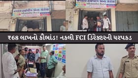 પંચમહાલઃ સરકારી નોકરીના નામે 68 લાખની ઠગાઈ, ભેજાબાજ ભરત પરમાર ઝડપાયો