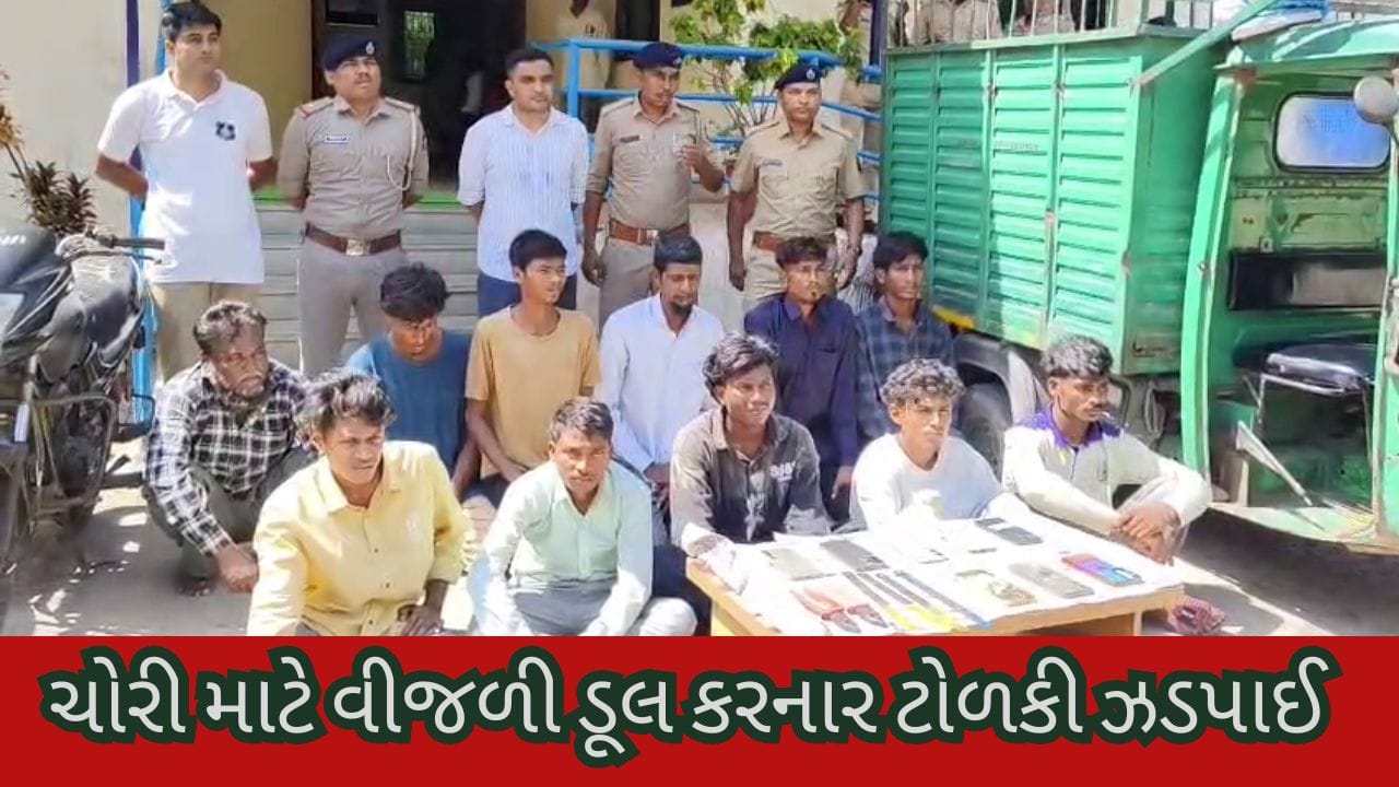 Breaking News : ખેડૂતોને કનડતી ચોર ટોળકી જેલ ભેગી કરાઈ , હાંસોટ પોલીસે 4 ગુનાનો ભેદ ઉકેલી 12 શખ્શોની ધરપકડ કરી