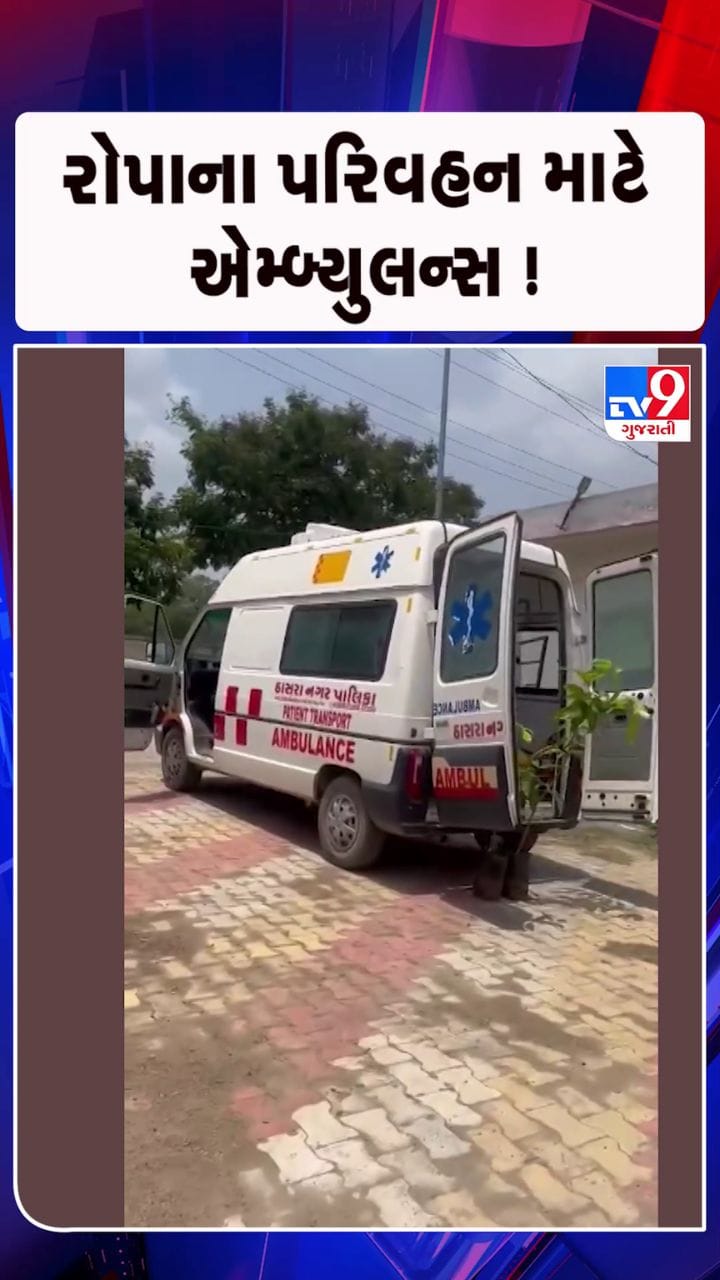 શું નગરપાલિકાને બીજુ વાહન ન મળ્યું ?