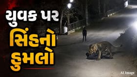 અમરેલીના કોવાયા ગામે સિંહે યુવકની ફાડી ખાધો