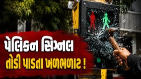 ₹6 લાખનું અદ્યતન પેડેસ્ટ્રિયન સિગ્નલ અસામાજિક તત્વોએ તોડી પાડ્યું