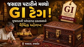 રાજકોટની 'જસદણ પટારી'ને મળી વૈશ્વિક ઓળખ!GI ટેગ સાથે વિશ્વભરમાં ઓળખાશે