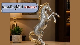 ઘરમાં દોડતા ઘોડાની પ્રતિમા રાખવાથી મળે છે આ 4 મોટા ફાયદા