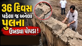 સુરેન્દ્રનગર ખાતે 36 દિવસમાં પુલના પોપડા ઉખડી પડતા ગ્રામજનોમાં રોષ
