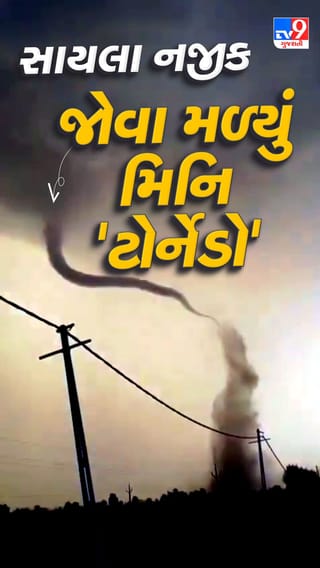 વરસાદી મહાલો વચ્ચે જોવા મળ્યો અવિસ્મરણીય નજારો