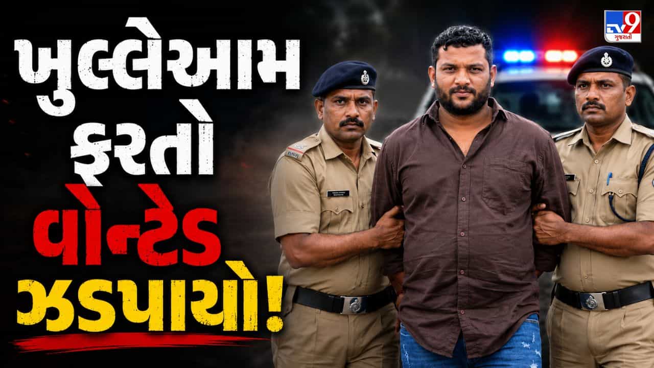 Breaking News : વિજય સરઘસમાં ફરતો 19 ગુનાનો વોન્ટેડ ભાજપ કોર્પોરેટરના પુત્રને IPS નિર્લિપ્ત રાયની ટીમે દબોચ્યો, જુઓ Video