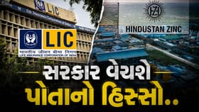 સરકાર LIC અને હિન્દુસ્તાન ઝિંકમાં હિસ્સો વેચવાની તૈયારીમાં