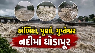 Video News : અંબિકા, પૂર્ણા, ગુપ્તેશ્વર નદીમાં ઘૂઘવતા પૂરનો વીડિયો, નદી કાંઠાના ગામોને સાબદા કરીને અનેક લોકોનું કરાવ્યું સ્થળાંતર