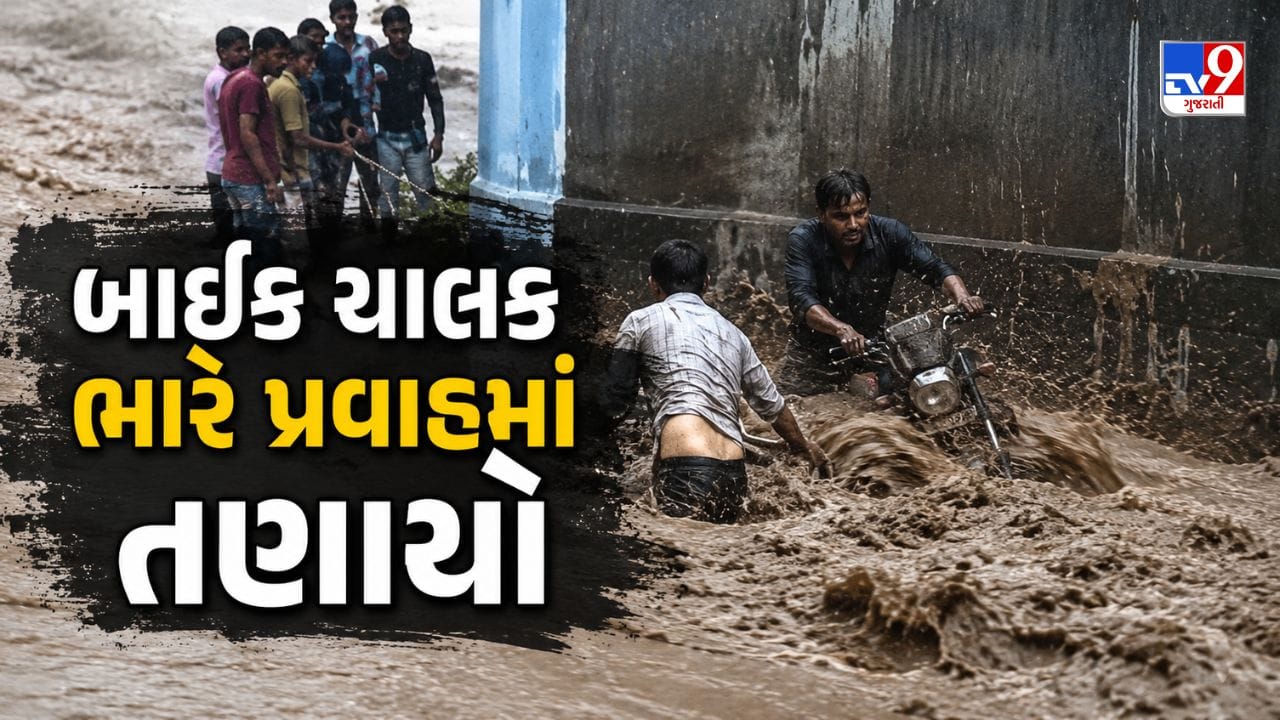 Amreli Rain: સાવરકુંડલામાં ધોધમાર વરસાદ વચ્ચે બાઈક ચાલક તણાયો, સ્થાનિકોએ બચાવ્યો જીવ, જુઓ રેસ્ક્યૂનો દિલધડક Video Amreli Rain: સાવરકુંડલામાં ધોધમાર વરસાદ વચ્ચે બાઈક ચાલક તણાયો, સ્થાનિકોએ બચાવ્યો જીવ, જુઓ રેસ્ક્યૂનો દિલધડક Video