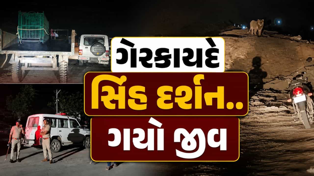 Breaking News : અમરેલીમાં સિંહના હુમલામાં યુવકનું મોત, લીલીયા પંથકમાં ગેરકાયદે સિંહદર્શન પર ફરી ઉઠ્યા સવાલ