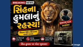 અમરેલીમાં સિંહના હુમલાથી યુવકનું મોત, વનવિભાગે શરૂ કરી ઊંડી તપાસ