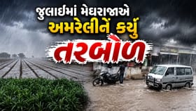 અમરેલી જિલ્લામાં સાર્વત્રિક મેઘમહેર, સ્થાનિક નદીઓમાં આવ્યા નવા નીર