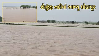 અમરેલીમાં મુશળધાર વરસાદથી શેત્રુંજી નદીમાં આવ્યુ ઘોડાપૂર, જુના સાવર ગામ બેટમાં ફેરવાયુ- Video