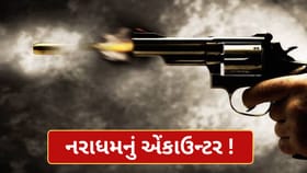 4 વર્ષની બાળકીના અપહરણ બાદ હત્યાના કેસમાં આરોપી એન્કાઉન્ટરમાં ઠાર