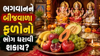 શું પૂજામાં બીજવાળા ફળોનો ભોગ ભગવાનને ધરાવવો શુભ માનવામાં આવે છે ? જાણો શાસ્ત્રોમાં શું કહે છે !