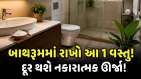 બાથરૂમમાં રાખો માત્ર ‘આ’ એક વસ્તુ, દૂર થશે નકારાત્મક ઊર્જા ?