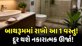 બાથરૂમમાં રાખો માત્ર ‘આ’ એક વસ્તુ, વાસ્તુશાસ્ત્ર અનુસાર દૂર થશે નકારાત્મક ઊર્જા ?