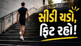 વજન ઘટાડવું છે? રોજ સીડી ચડો, કેલરી બર્ન કરવાની અસરકારક રીત