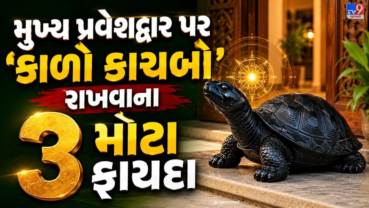 ફેંગશુઈમાં કાળા કાચબાને શુભતા, સુરક્ષા અને સમૃદ્ધિનું પ્રતીક માનવામાં આવે છે. એવી માન્યતા છે કે તેને ઘરમાં યોગ્ય દિશામાં રાખવાથી સકારાત્મક ઊર્જા વધે છે અને નકારાત્મકતા ઓછી થાય છે. ઘણા લોકો ઘરનું સુખ, શાંતિ અને આર્થિક પ્રગતિ જળવાઈ રહે તે માટે કાળા કાચબાને મુખ્ય પ્રવેશદ્વાર અથવા અન્ય યોગ્ય સ્થળે સ્થાપિત કરે છે.