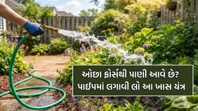 ઘરમાં બહુ ઓછા ફોર્સથી પાણી આવે છે? આ પંપ લગાવી પાણીનો ફોર્સ વધારો