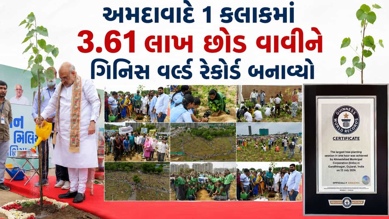 મિયાવાકી ટેકનિક શું છે? અમદાવાદે એક કલાકમાં 361,000 વૃક્ષો વાવીને ગિનિસ વર્લ્ડ રેકોર્ડ બનાવ્યો