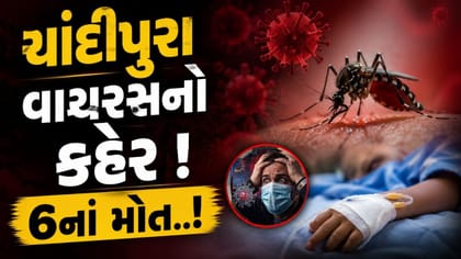 શંકાસ્પદ ચાંદીપુરા વાયરસના લીધે રાજ્યમાં કુલ 6 દર્દીઓના મોત