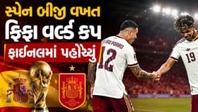 સ્પેન બીજી વખત ફિફા વર્લ્ડ કપ ફાઇનલમાં પહોંચ્યું