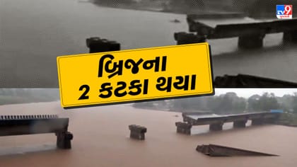 5 ઈંચ વરસાદે વિનાશ વેર્યો, બ્રિજના 2 કટકા થયા, જુઓ Video