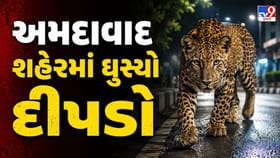 અમદાવાદના ઘુમામાં દીપડાની એન્ટ્રી, જુઓ CCTV વીડિયો