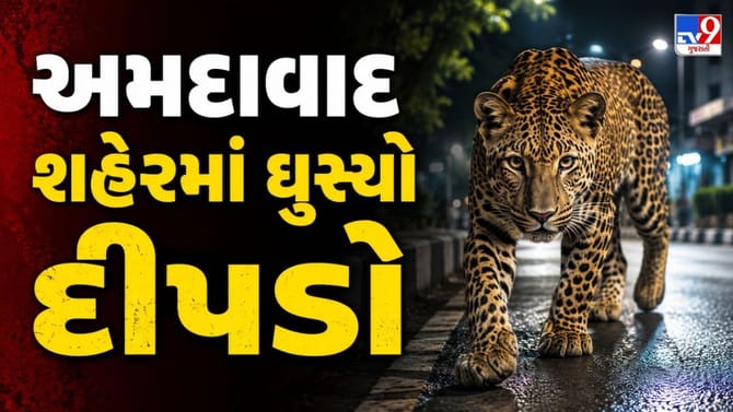 અમદાવાદમાં દીપડાની એન્ટ્રીના જુઓ CCTV વીડિયો