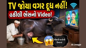 હઠીલી ભેંસની અનોખી ડિમાન્ડ! TV ચાલુ કરો પછી જ મળશે દૂધ