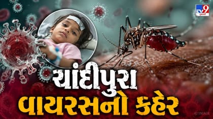 સાબરકાંઠામાં શંકાસ્પદ ચાંદીપુરા વાયરસનો વધુ એક ભોગ