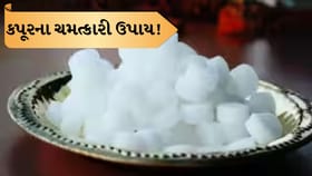 કપૂરના આ 5 વાસ્તુ ઉપાયથી બદલાઈ શકે છે નસીબ, ઘરમાં આવશે સુખ-સમૃદ્ધિ