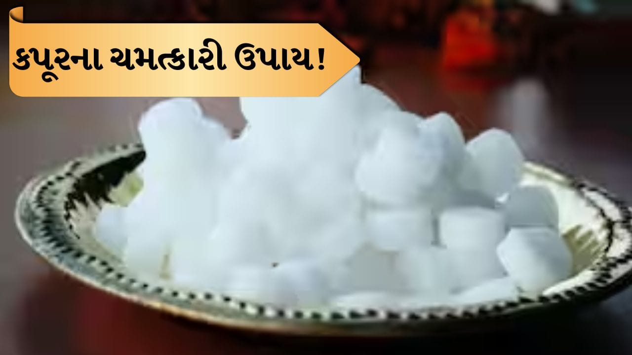 Camphor Vastu Tips: શું ઘરમાં ઝઘડા અને માનસિક તણાવ છે? આ સરળ કપૂર ઉપાય રાહત આપશે
