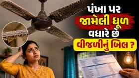 પંખા પર જામેલી ધૂળના કારણે શું વધી શકે છે વીજળીનું બિલ? જાણો અહીં