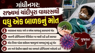 Breaking News: ગાંધીનગરમાં ચાંદીપુરા વાયરસના લક્ષણોવાળા વધુ એક બાળકનું મોત, રાજ્યમાં ચિંતા વધી