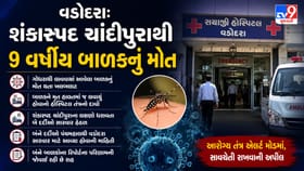 વડોદરામાં શંકાસ્પદ ચાંદીપુરા વાયરસથી 9 વર્ષીય બાળકનું મોત