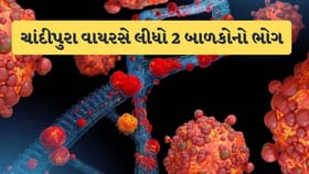 ચાંદીપુરા વાયરસનો કહેર, ગોધરાના 2 બાળકોના સારવાર દરમિયાન મોત