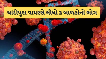 ચાંદીપુરા વાયરસનો કહેર, ગોધરાના 2 બાળકોના સારવાર દરમિયાન મોત