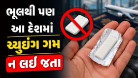 આ દેશમાં ચ્યુઇંગ ગમ ખાધી તો સીધા જેલ ભેગા થશો, જાણો શું છે કાયદો !
