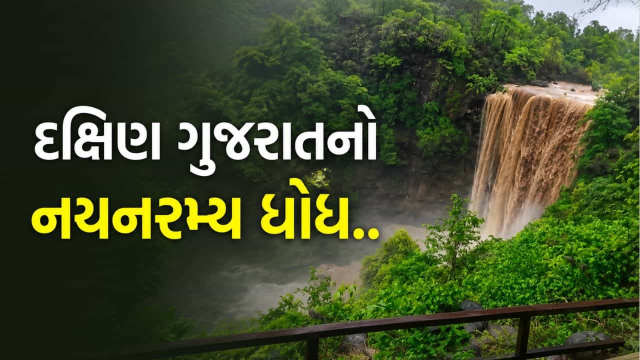 તમે આ ધોધની મુલાકાત લીધી? તાપી જિલ્લામાં ચોમાસાના વરસાદથી ચીમેર ધોધ સોળે કળાએ ખીલ્યો, જુઓ