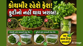 ફ્રિજમાં રાખ્યા પછી પણ કોથમીર ખરાબ થઈ જાય છે? જાણો સાચી સ્ટોરેજ ટિપ્સ