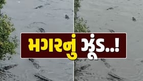 ગણપતપુરા-માંગલેજ રોડ પર ગરનાળામાં પાણી ભરાતા વાહનચાલકો અટવાયા