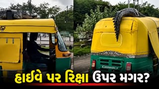 Trending Video : આ કેવો પ્રવાસી ? રિક્ષાની છત પર મગર હોવાનો દાવો કરતો વીડિયો થયો વાયરલ