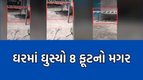 ગીર સોમનાથમાં વરસાદી આફત વચ્ચે ઘરમાં ઘુસ્યો 8 ફુટનો મગર- Video
