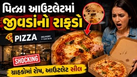 પિત્ઝામાંથી નીકળ્યું જીવડું: વડોદરામાં જાણીતા આઉટલેટ સામે પોલીસ ફરિયાદ