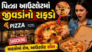 વડોદરામાં ચોંકાવનારી ઘટના: જાણીતા પિત્ઝા આઉટલેટના પિત્ઝામાંથી નીકળ્યું જીવડું