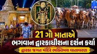 Breaking News  :  21 ગૌમાતાને ભગવાન દ્વારકાધીશના દર્શન કર્યા, જુઓ Video