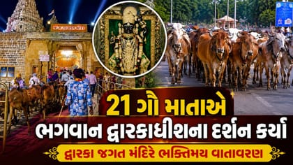 21 ગૌમાતાને ભગવાન દ્વારકાધીશના દર્શન કર્યા, જુઓ Video